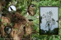 andes, amazon, wildlife, ecuad-05
